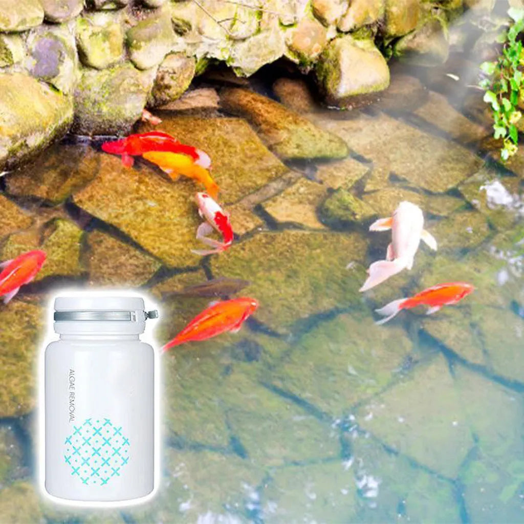 50g algaecide powder for swimming pool and aquarium algae control
