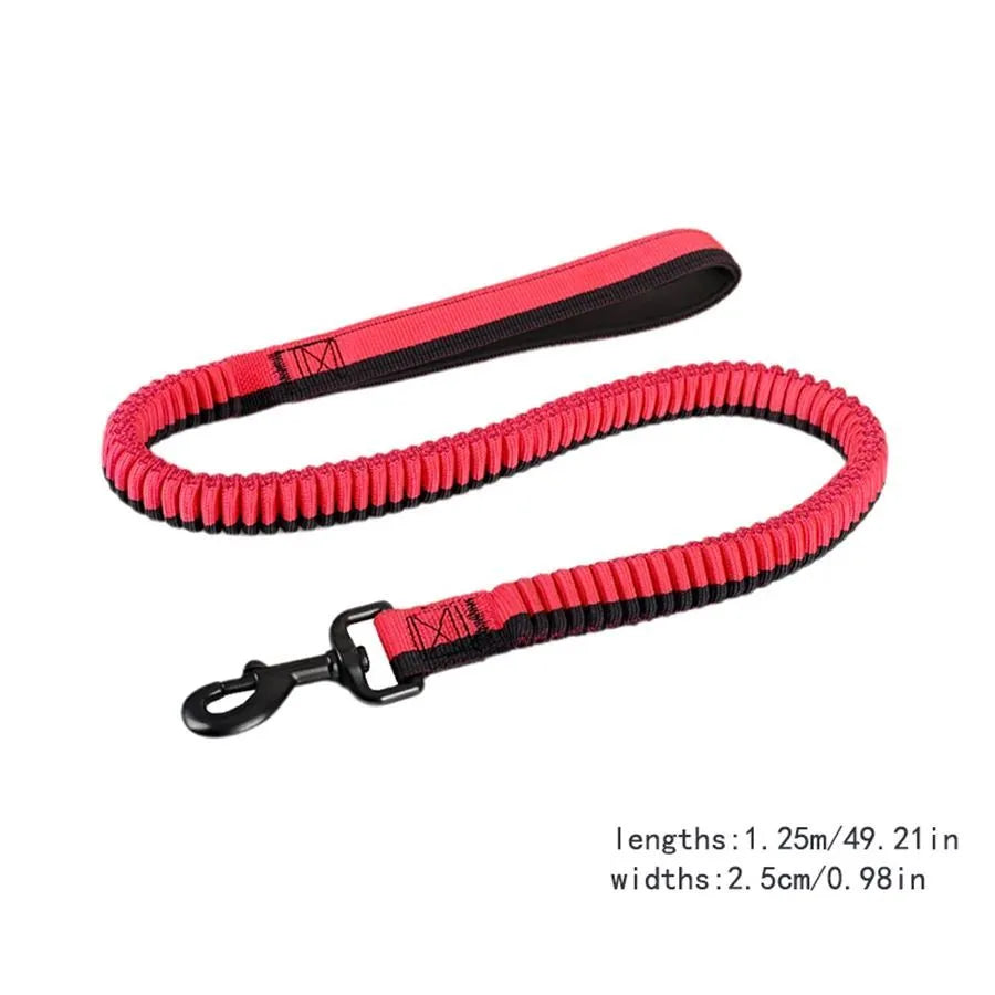 Heavy-duty elastic shock-resistant dog leash for medium and large breeds in multiple colours