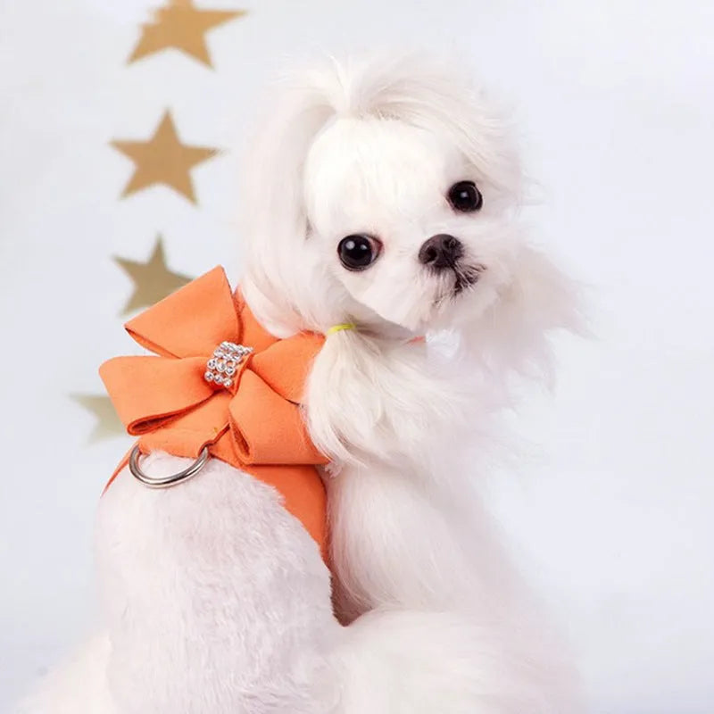 A pink dog harness with a white bowknot on the chest strap, shown on a small dog.