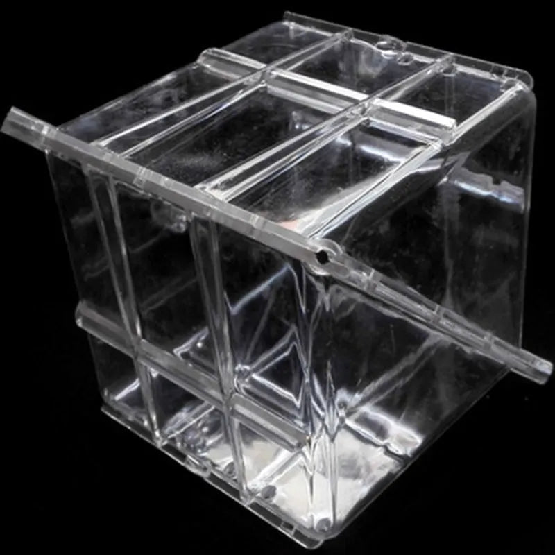 Square plastic growth mould for creating cube-shaped watermelons, dimensions 13x13x13cm.