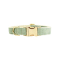 Soft corduroy dog collar in light green colour with adjustable strap