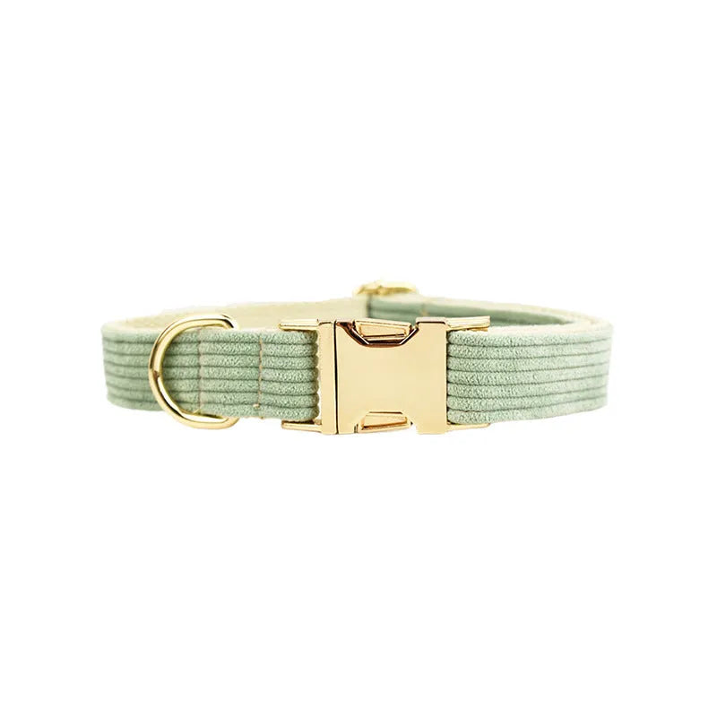 Soft corduroy dog collar in light green colour with adjustable strap