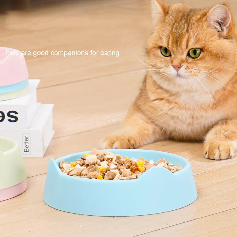 Ceramic dog slow feeder bowl with puzzle cups in blue, shown in large and small sizes.