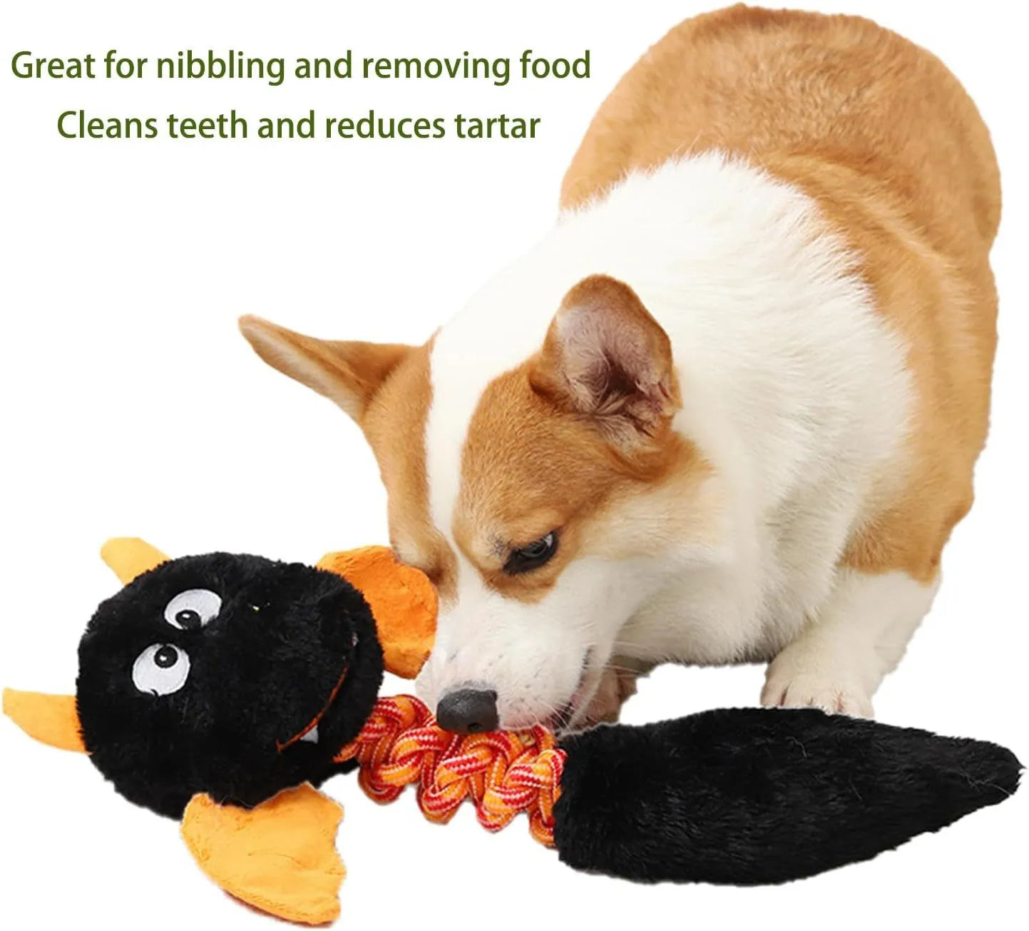 Plush dog toy with cartoon design in assorted colours showing squeaker and rope knot details