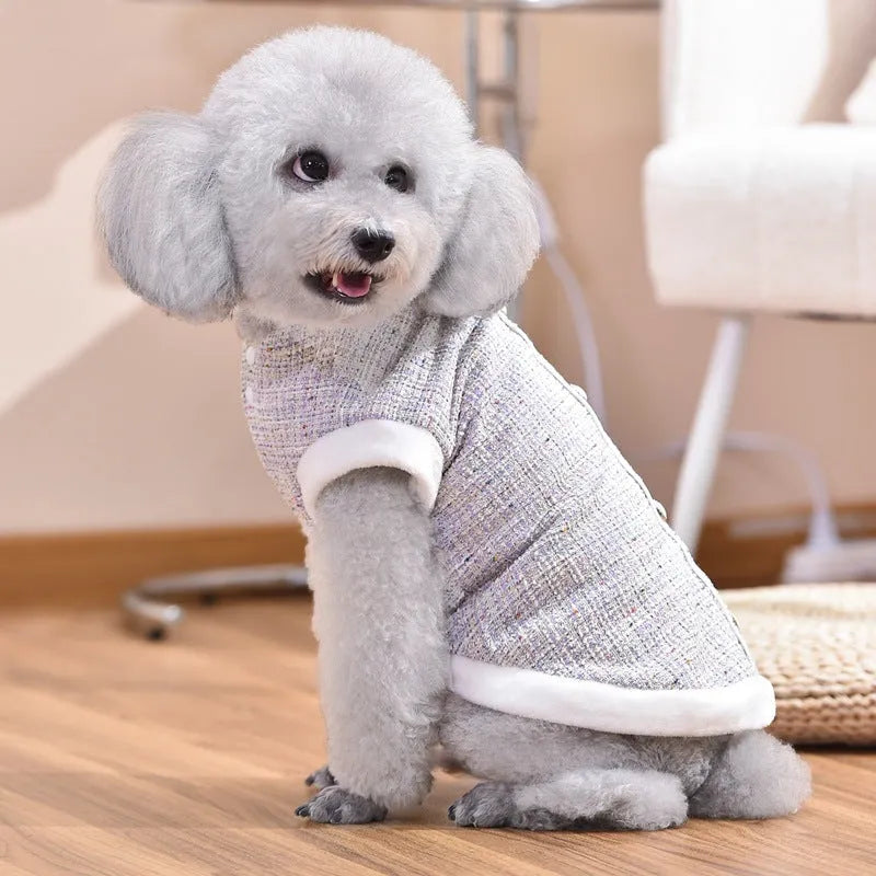 Black sausage-shaped PU jacket costume being worn by a small dog for Halloween.