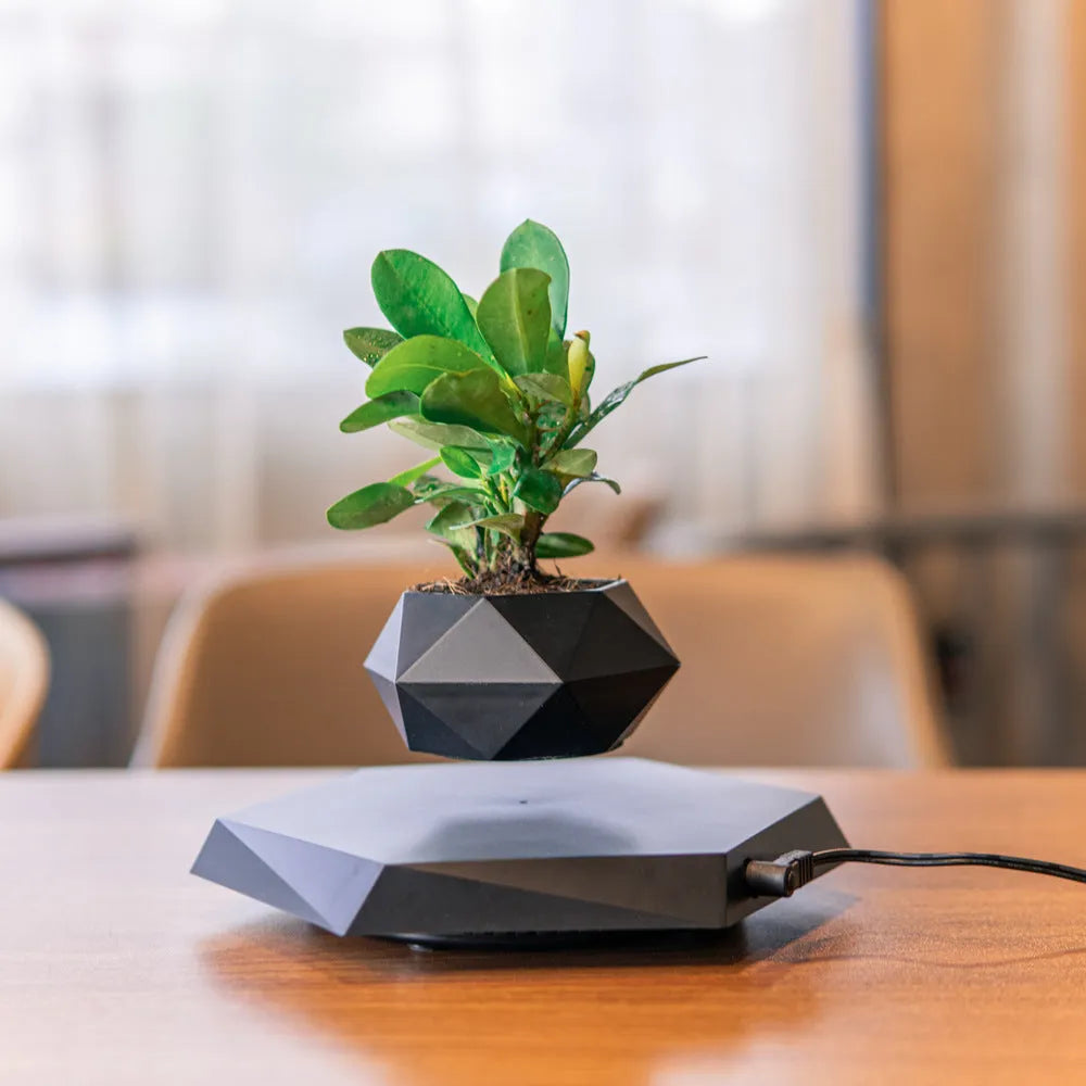 Hexagonal wood grain floating magnetic levitating flower pot hovering above matching base