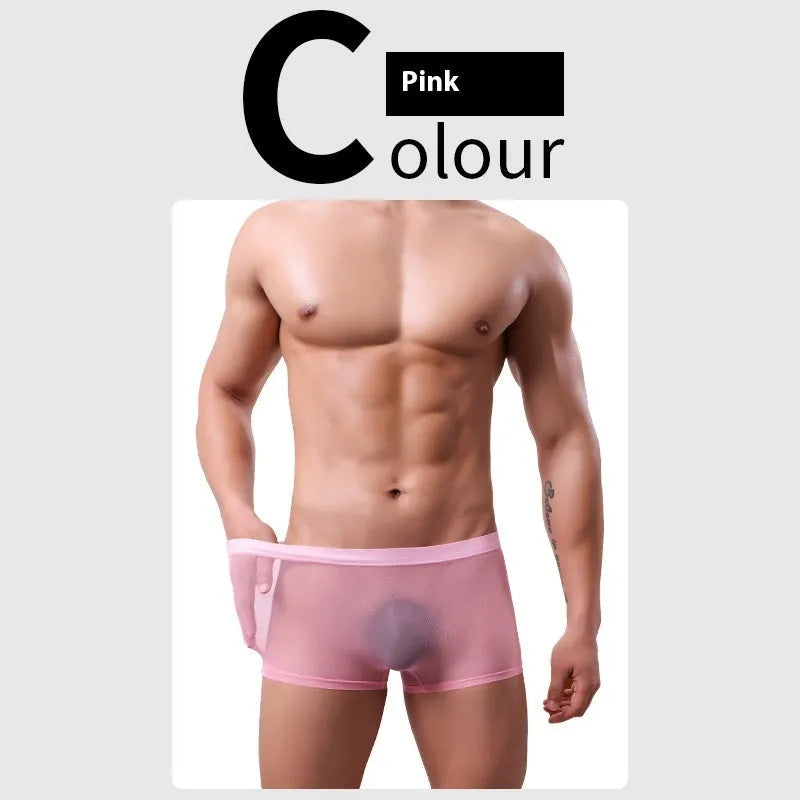 Men's low waist mesh boxer briefs in sheer polyester fabric on a colour swatch background.