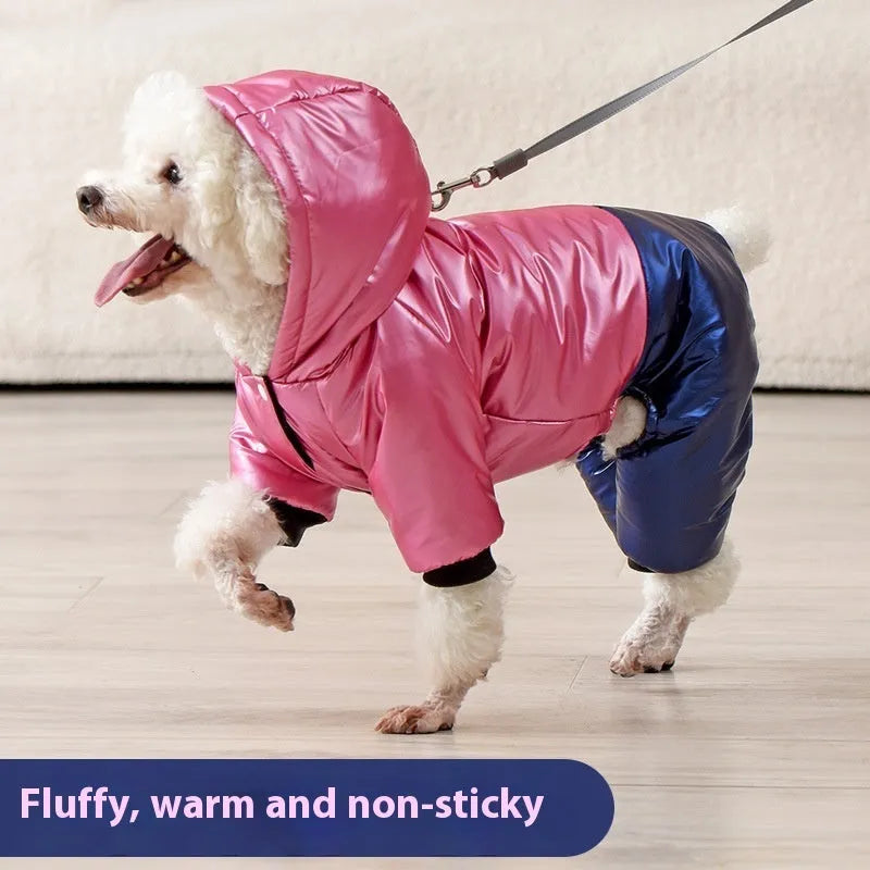 Green waterproof four-legged dog coat on a pet, showing full torso and leg coverage.