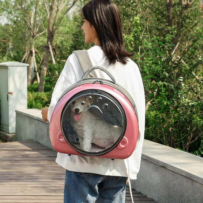 Transparent space capsule cat carrier with breathable mesh panels and hard PC shell