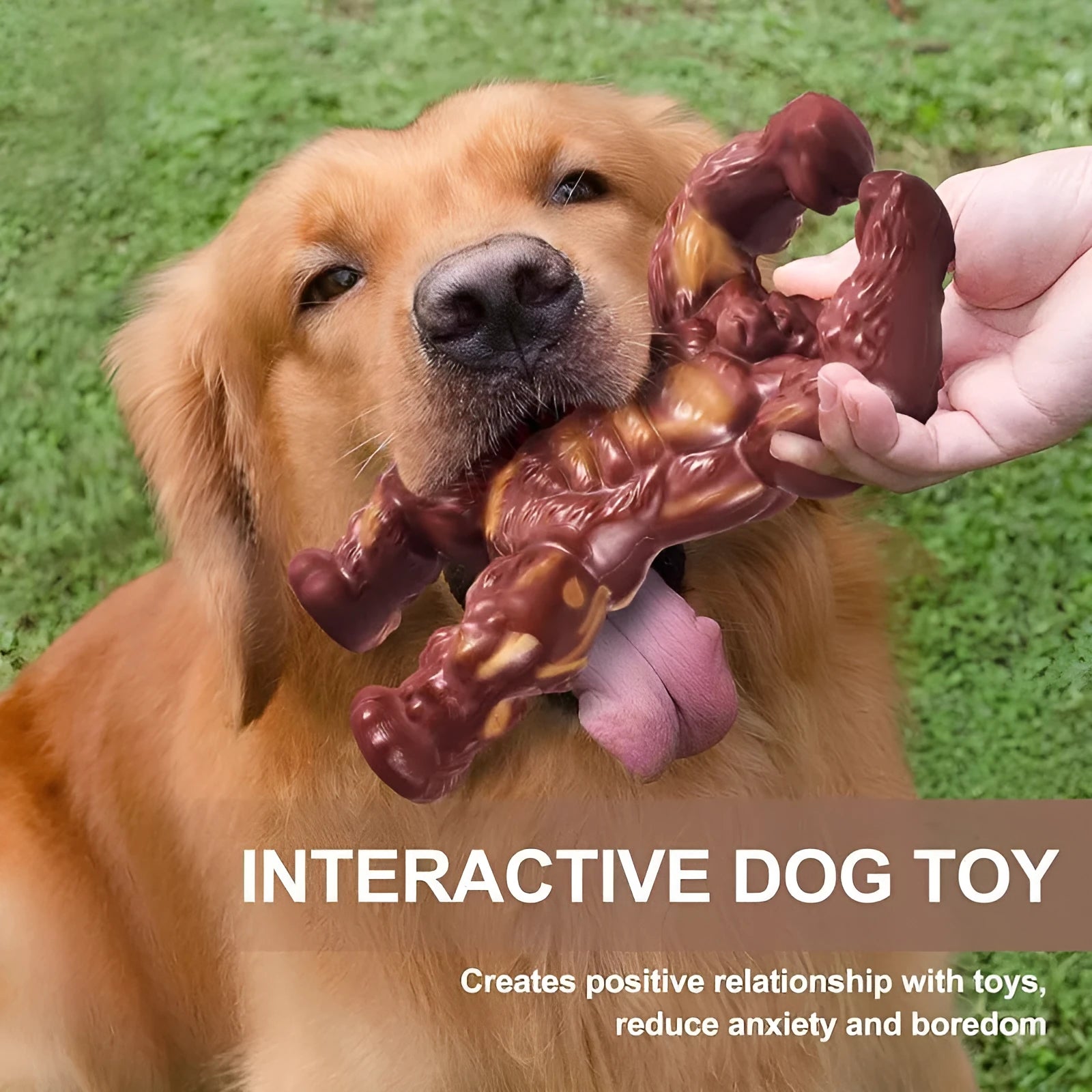 Scarlet coloured nylon dog chew toy with beef flavour for molar nibbling
