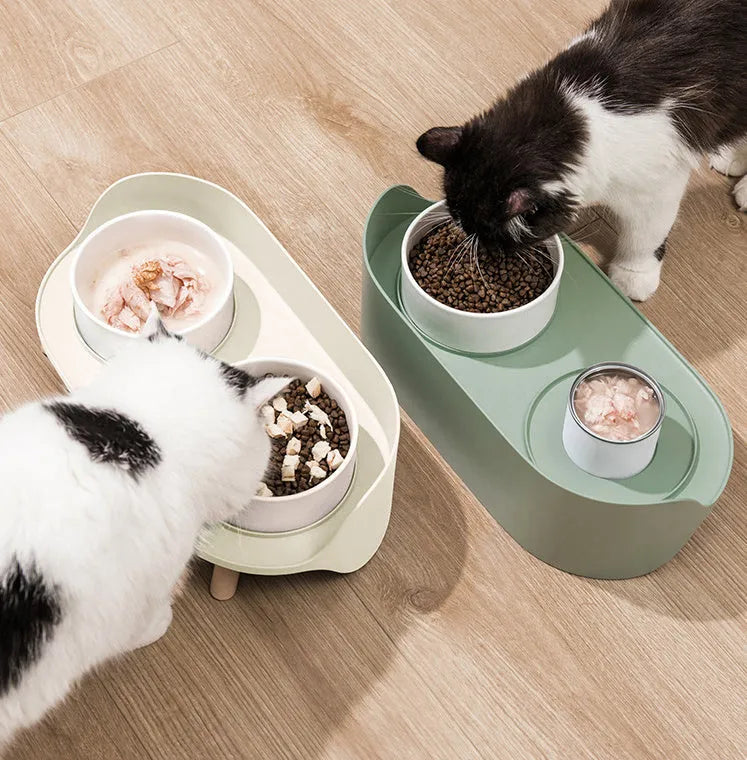Green tilted pet feeding bowl with double compartments for food and water
