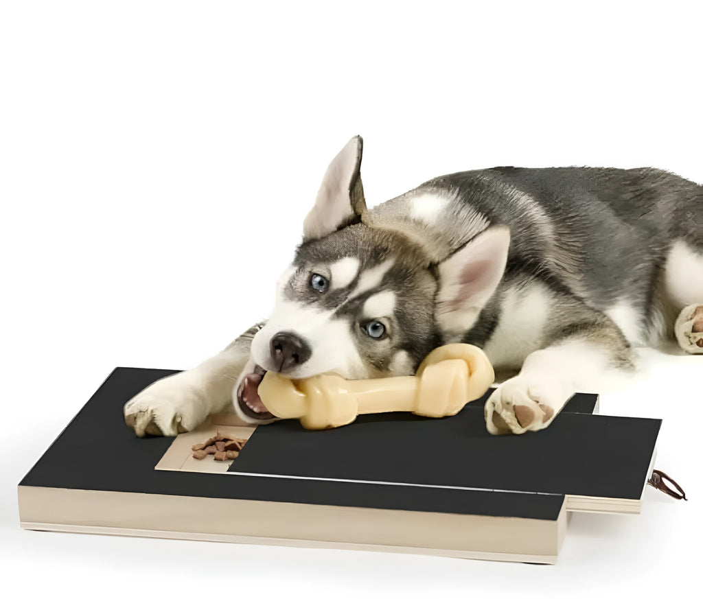 Black wooden dog nail scratch board with treat drawer and four circular anti-slip pads on base