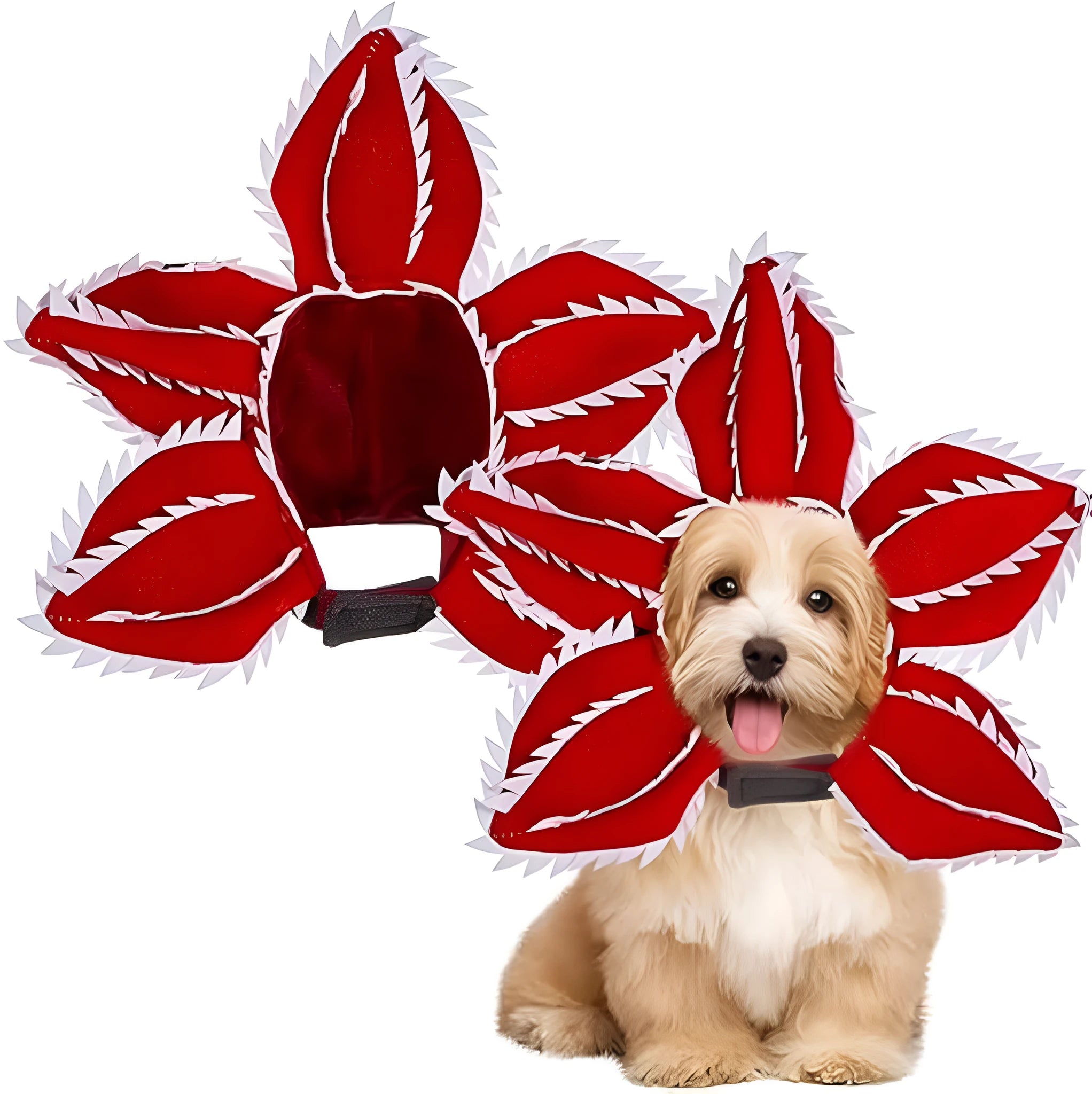 Dog wearing Halloween demon hat costume with open chomper mouth and flower headband accessory