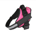 Adjustable dog harness with mesh padded vest in multiple colours, showing D-ring and reflective straps.
