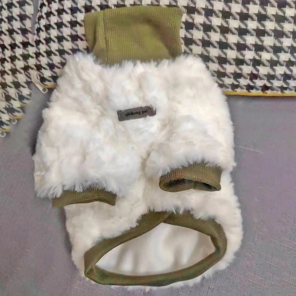Creamy green plush dog coat with high turtleneck collar on a small dog.