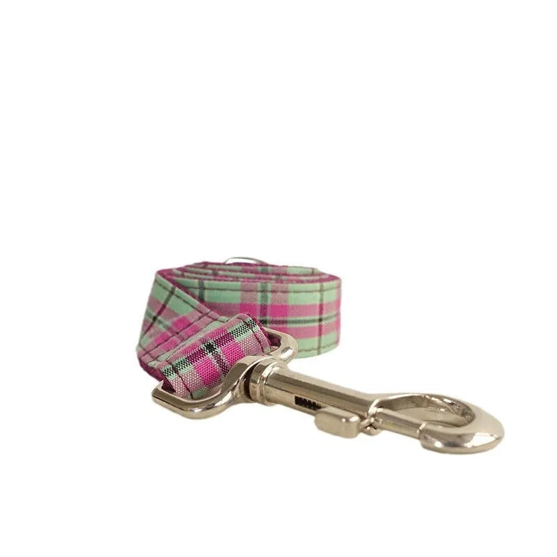 Mint green polyester dog collar and leash set with traction belt