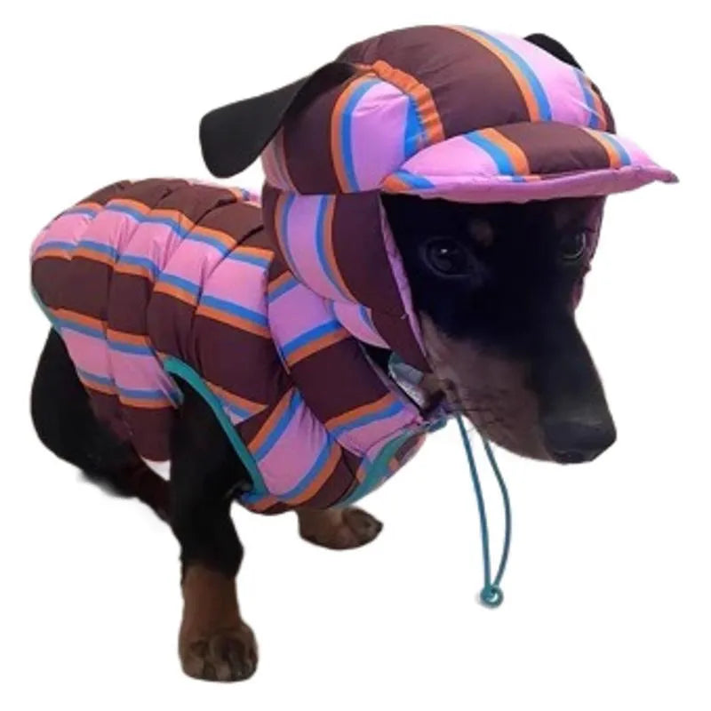 Dirty pink striped knitted vest and matching hat for a small dog on a grey background.