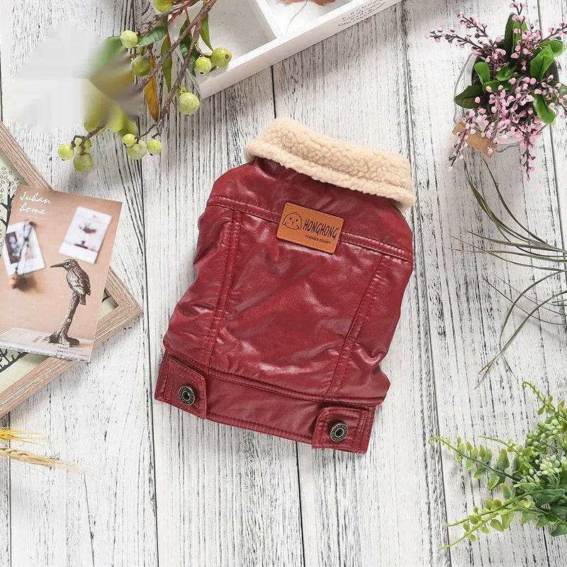 Red fleece-lined PU leather coat for a small dog, showing the two-legged design and British style.