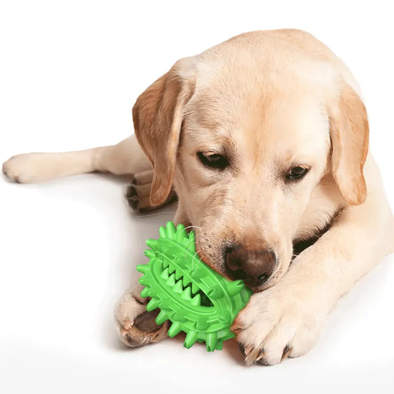 Green cactus-shaped dog chew toy for dental care, shown next to a dog treat.