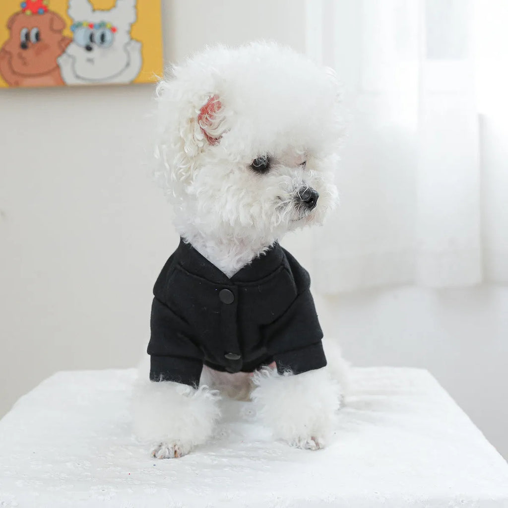 Casual grey knit dog jumper sweater on a mannequin, showing a simple V-neck and sleeve design.