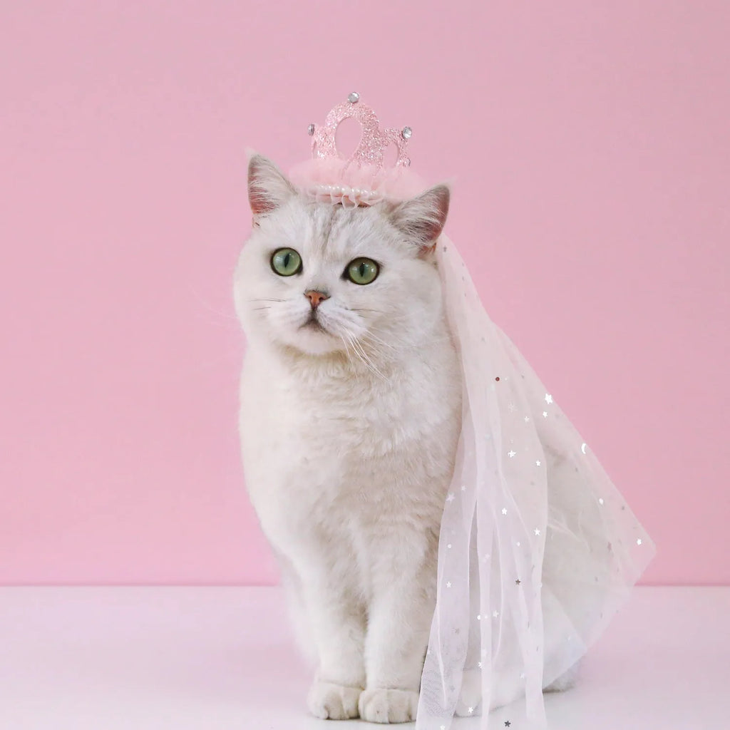 Pet princess crown headdress accessory with a veil in beige or pink colour options