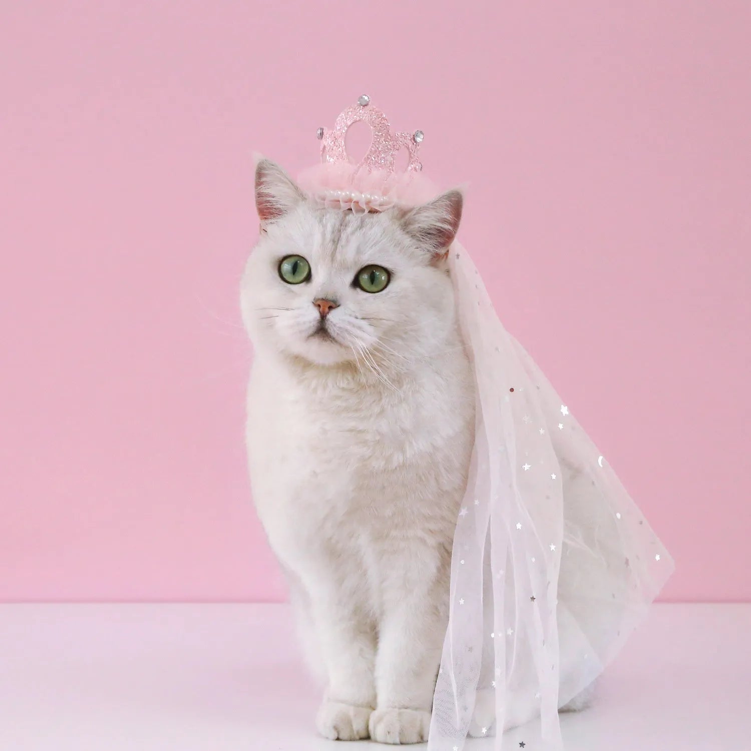 Pet princess crown headdress accessory with a veil in beige or pink colour options