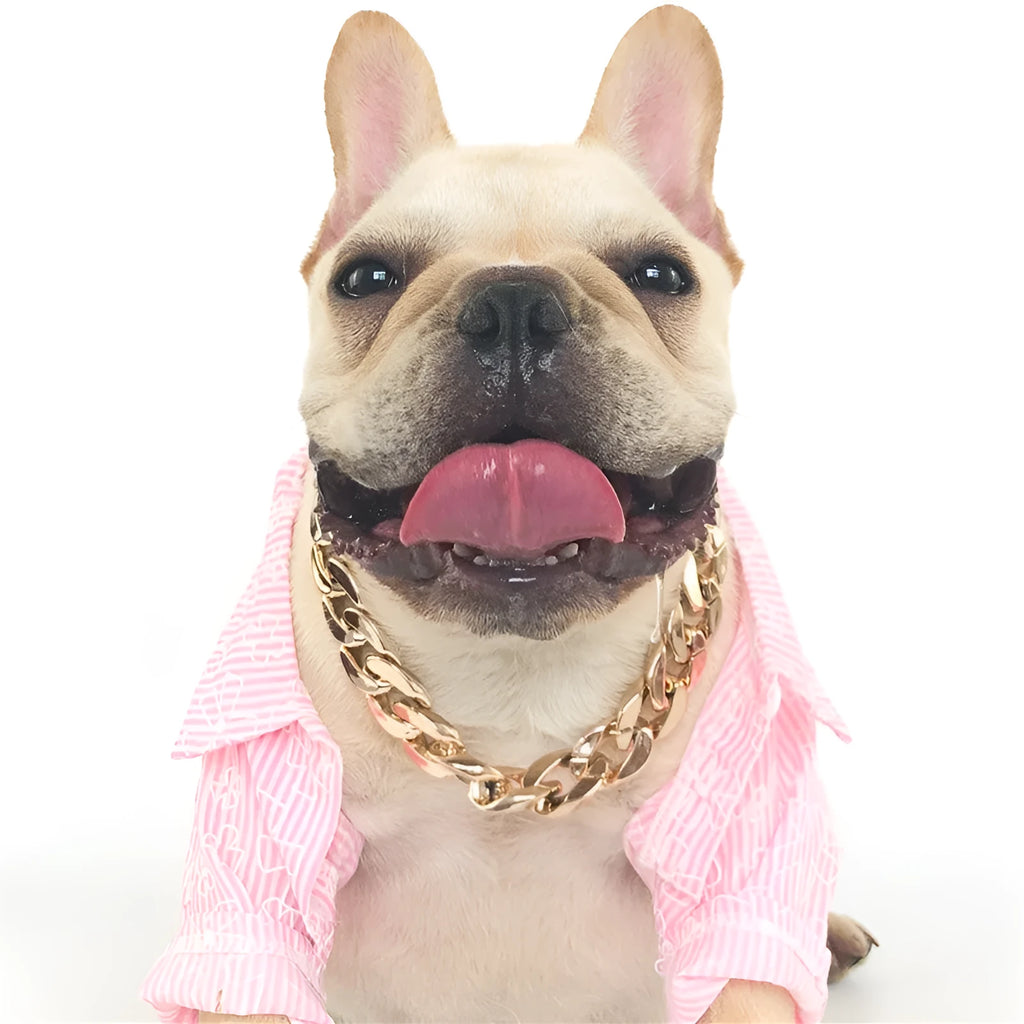 Adjustable dog chain collar in gold or white with twisted piece design for small and medium pets.