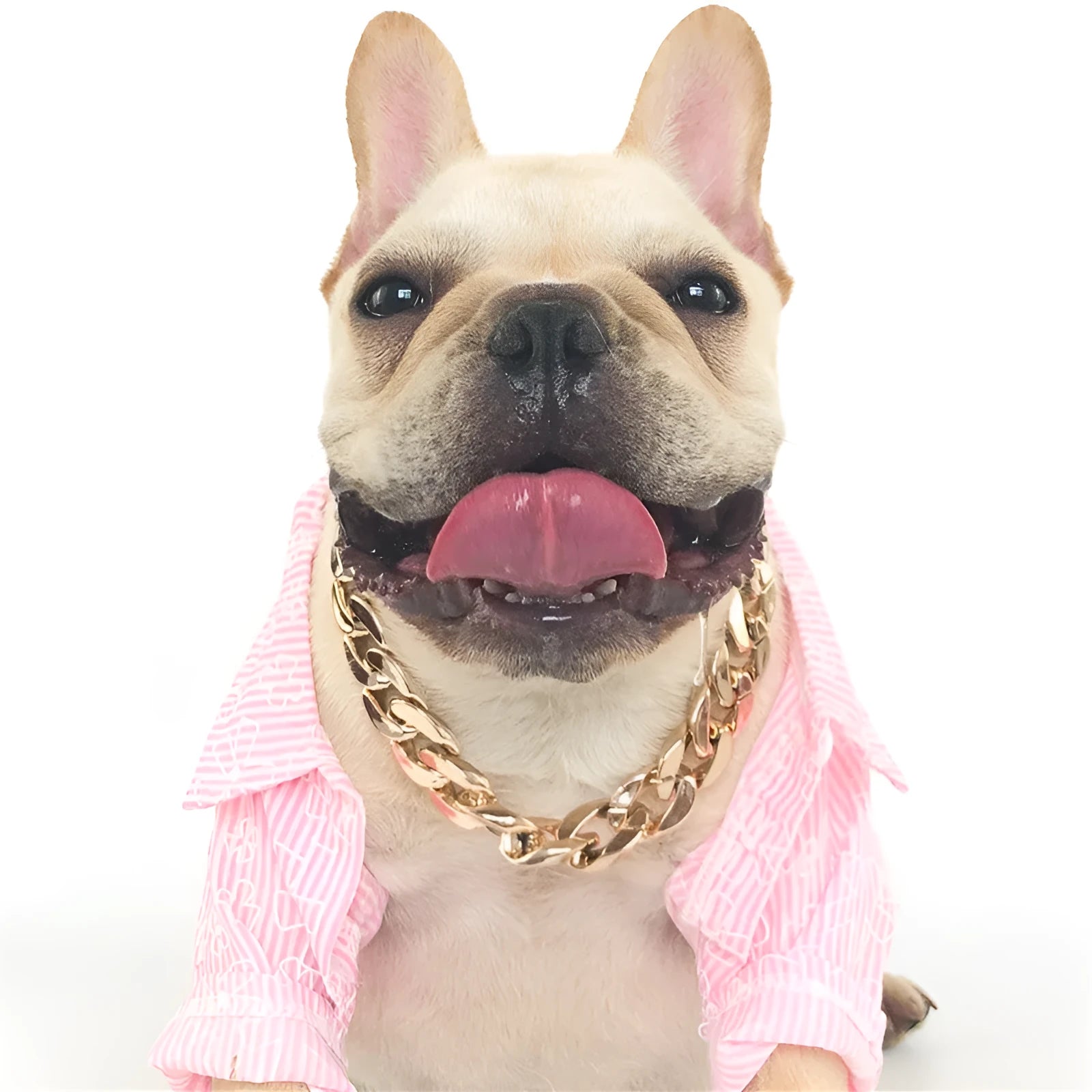 Adjustable dog chain collar in gold or white with twisted piece design for small and medium pets.