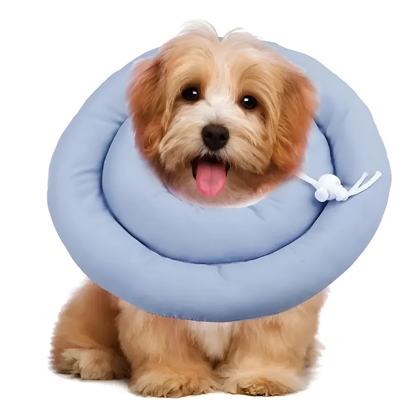 Blue adjustable Elizabethan recovery collar for a dog or cat on a white background.