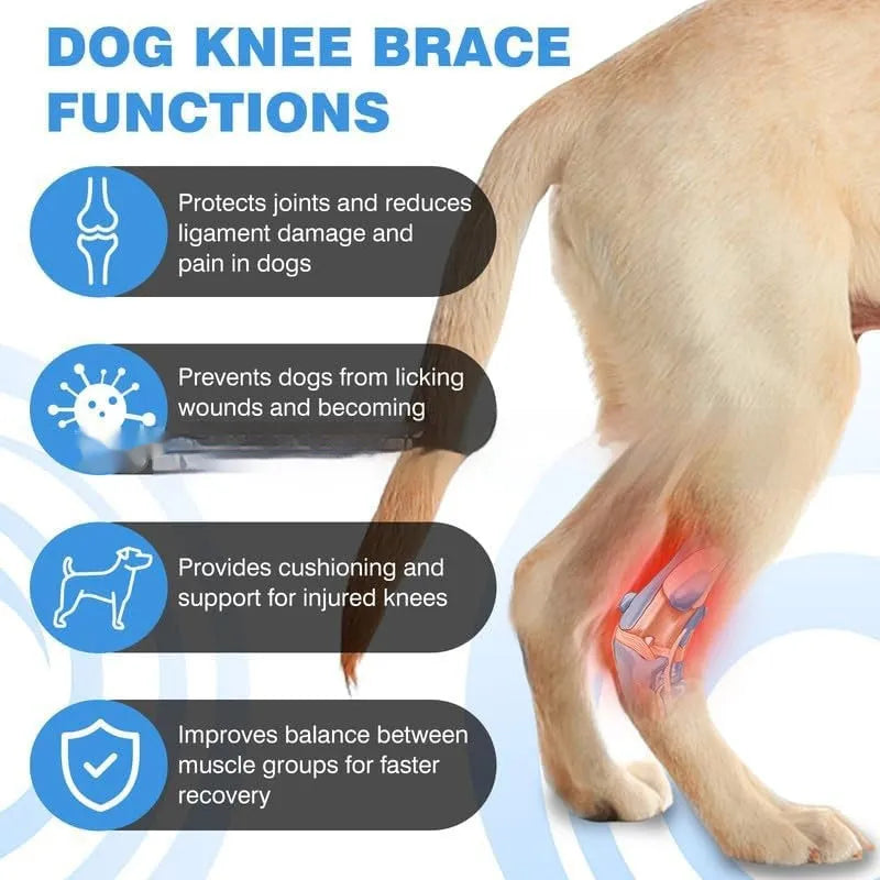 Black polyester pet leg guard for joint rehabilitation in three sizes