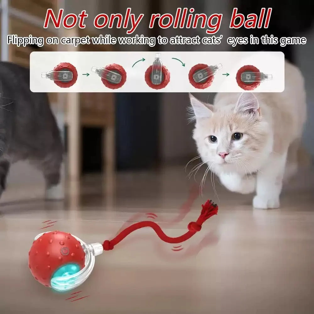 Blue interactive cat toy ball with LED light and bell for indoor feline entertainment