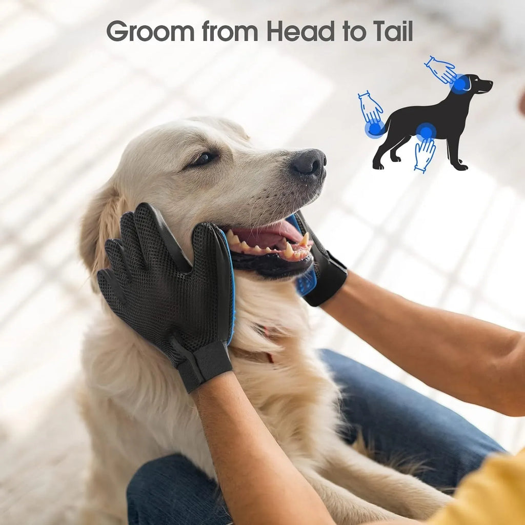 Blue pet grooming glove with silicone tips for removing hair from dogs and cats.