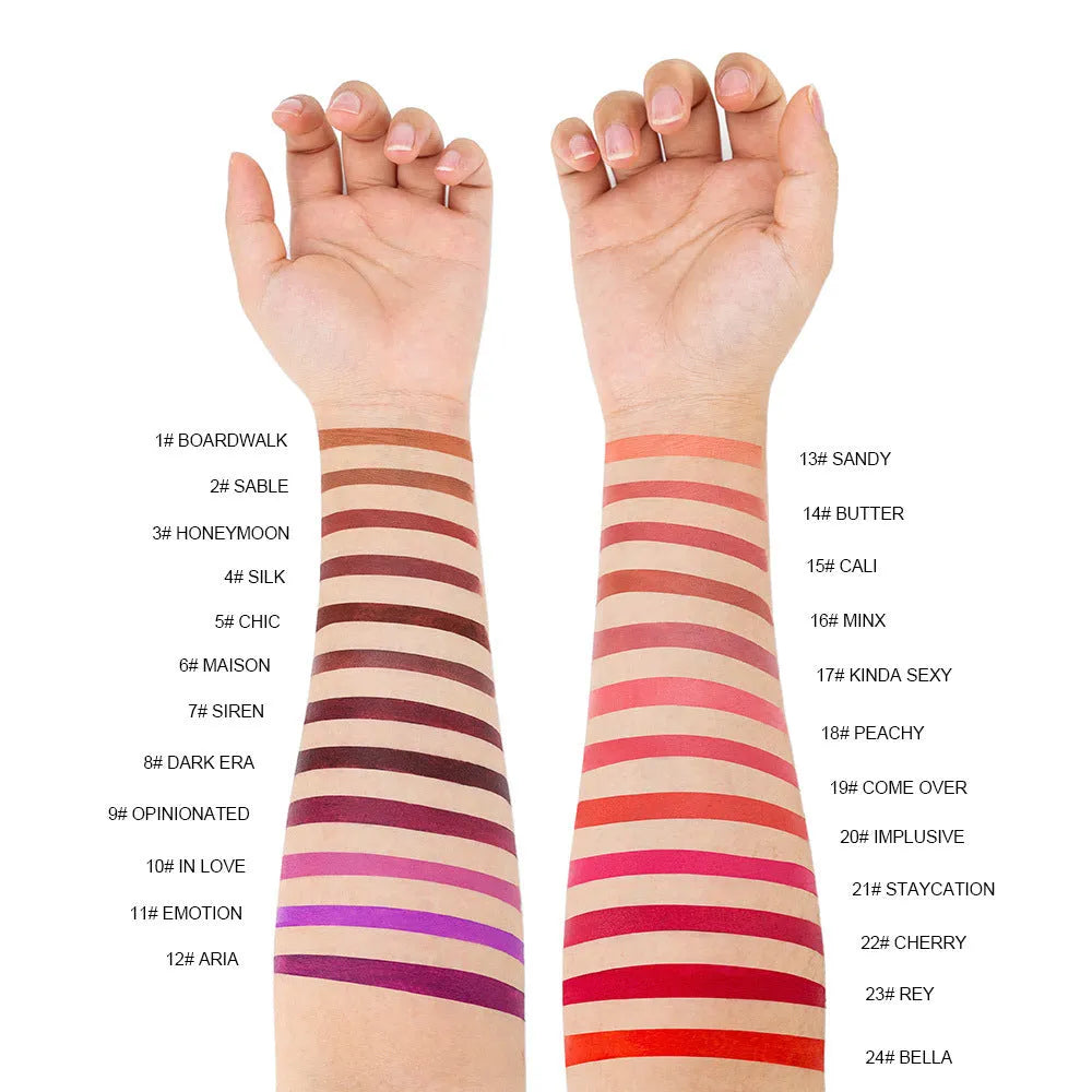 Matte finish lipstick bullet in a case, showcasing its velvety texture, with colour options 01 to 24.