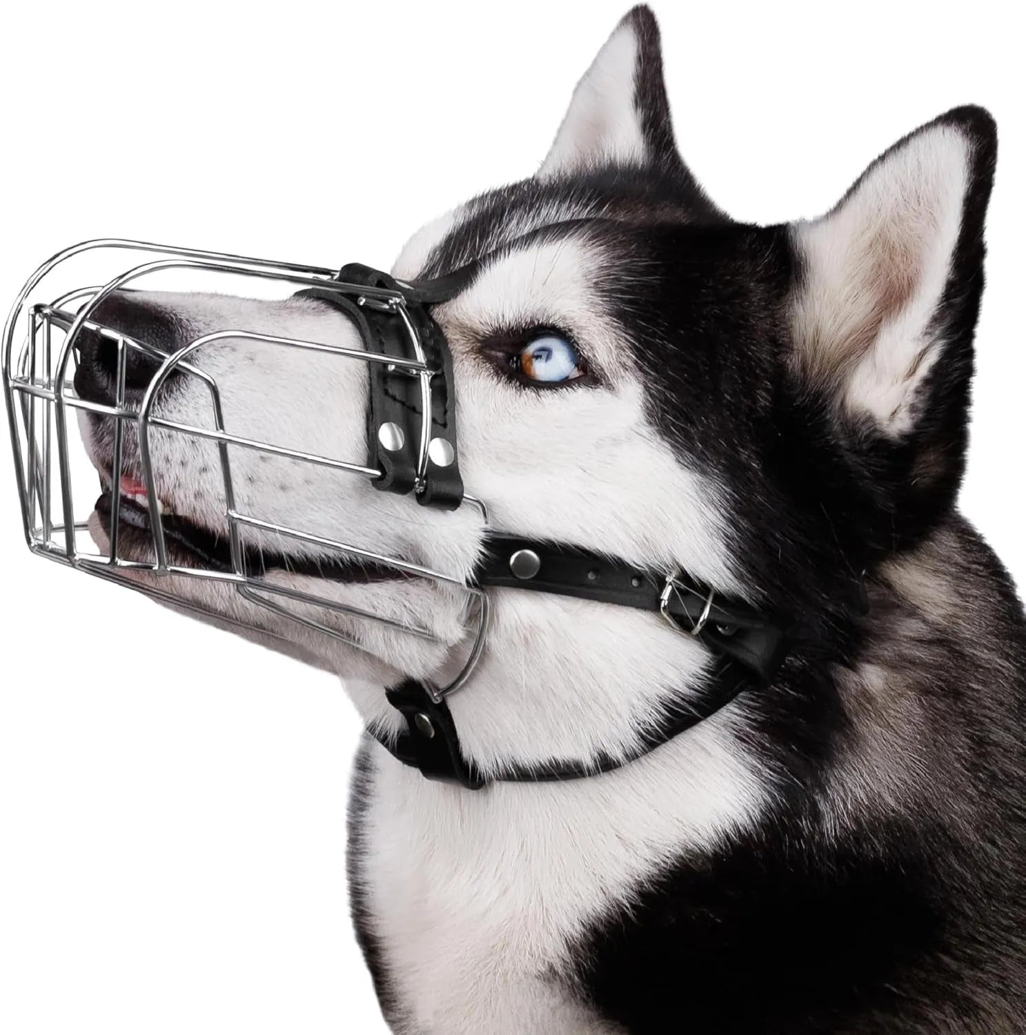 Black metal mesh dog muzzle designed for Golden Retrievers and German Shepherds on a grey background