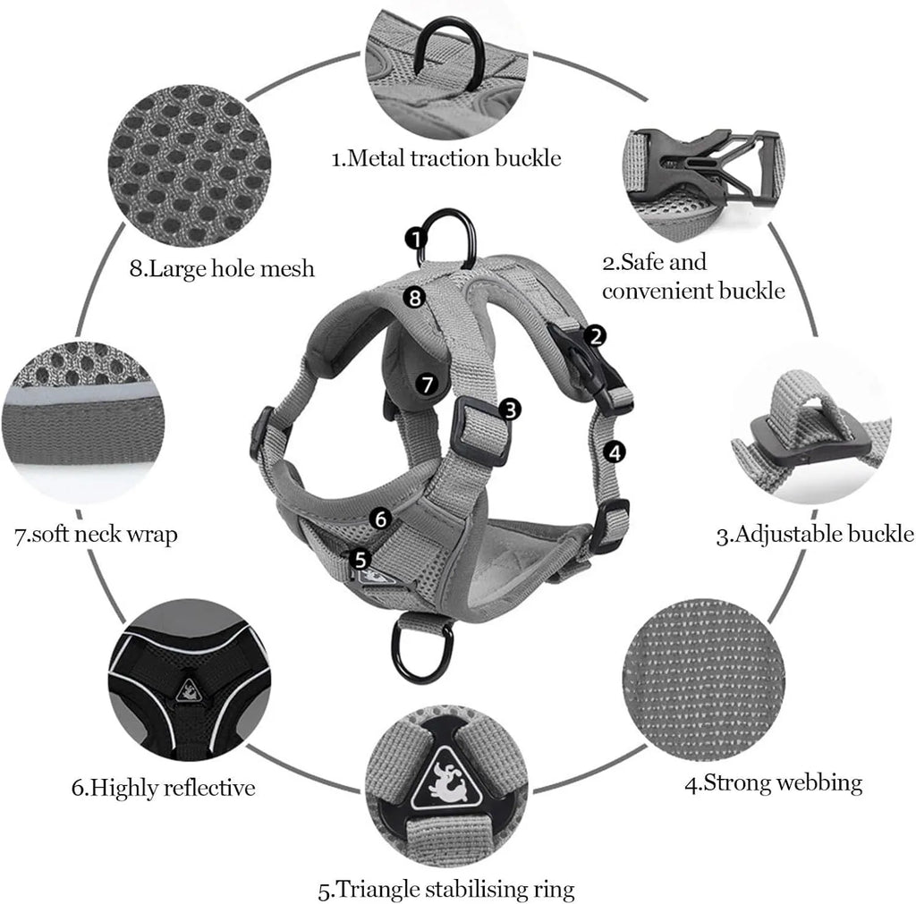 A blue mesh cat harness with adjustable straps and a leash, shown on a white background.