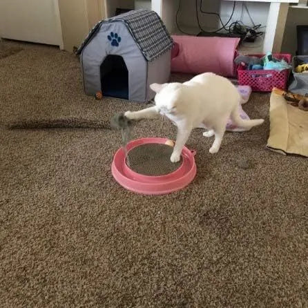 Blue interactive cat scratcher with ball track and round corrugated cardboard scratch pad