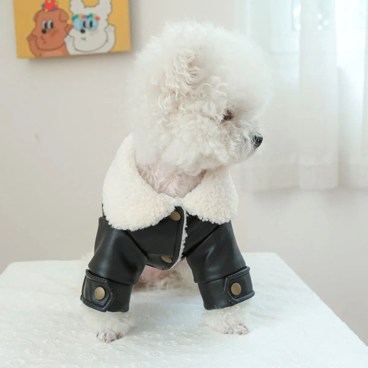 Fleece-lined padded dog coat on a hanger, shown in beige colour with size tag visible.