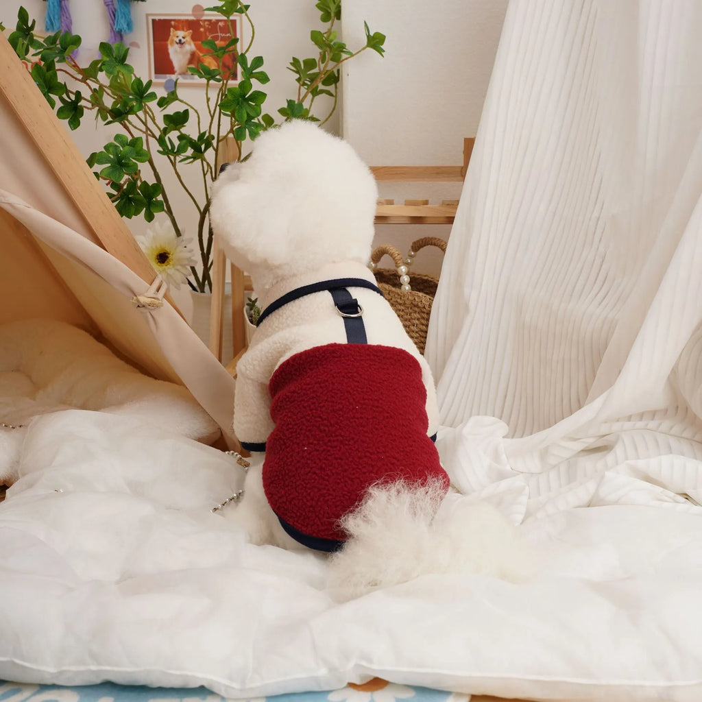 Lambswool fleece pet sweatshirt in caramel colour for autumn and winter warmth