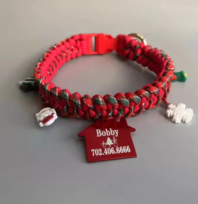Green rope dog leash with P chain design and release buckle for medium to large dogs