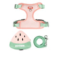 Pet chest strap and backpack set with anti-slip traction rope for dogs and cats