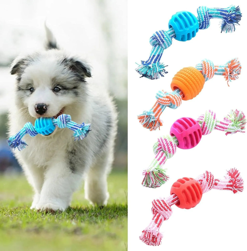 Blue dog molar chew toy with white cotton rope ends for dental cleaning and interactive play