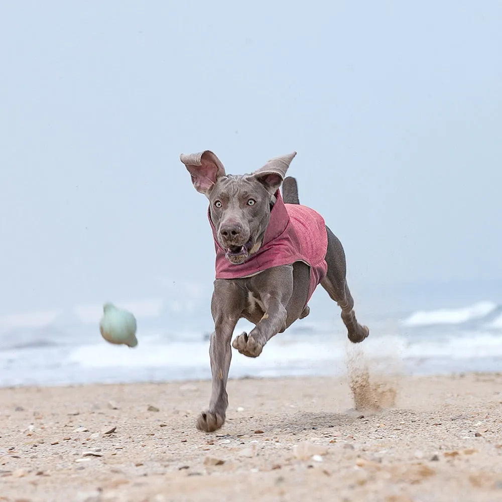 Polyester dog clothing vest in rose red, light blue, or grey colours for medium-large dogs