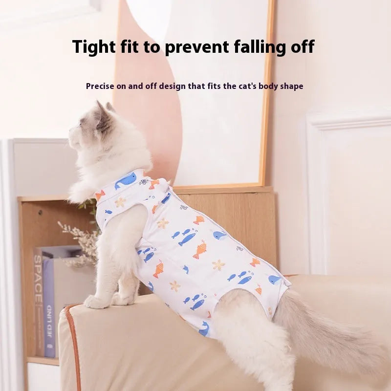 Cat wearing a blue printed post-operative recovery suit with Velcro fastenings after sterilisation surgery.