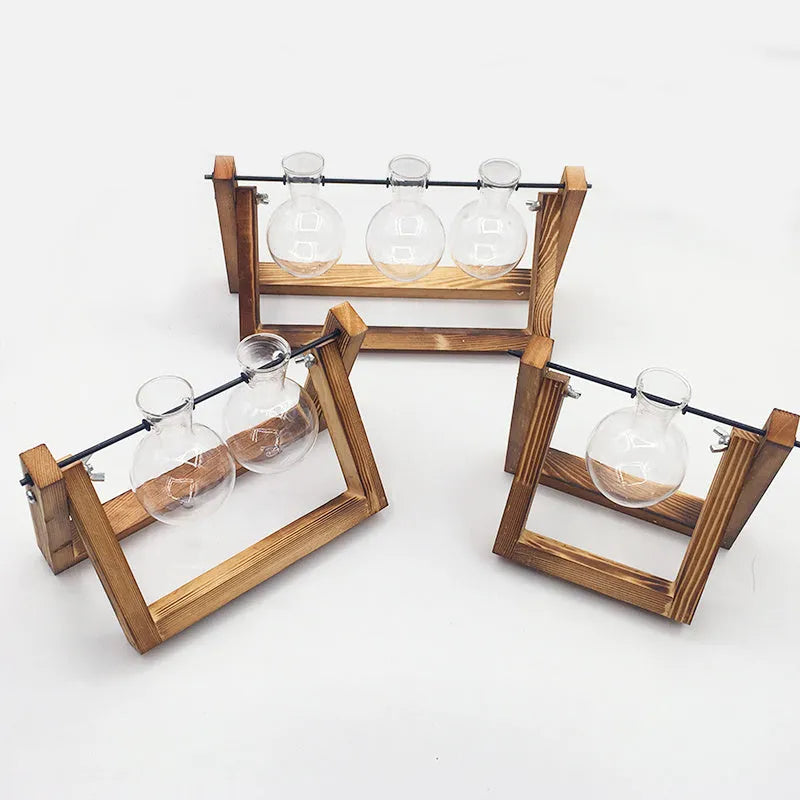 Wooden swing stand hydroponic container with borosilicate glass vase displaying plants