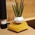 Hexagonal wood grain floating magnetic levitating flower pot hovering above matching base