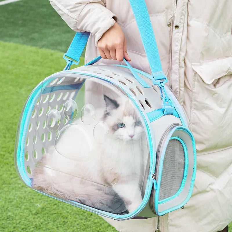 Transparent EVA cat backpack carrier in space capsule design showing interior space