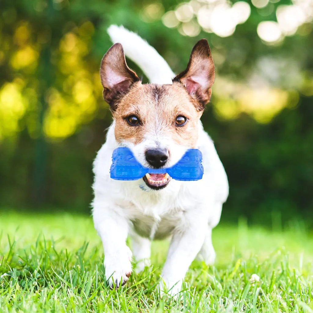 A freezable bone-shaped dog chew toy designed for cooling, teething, and dental care.