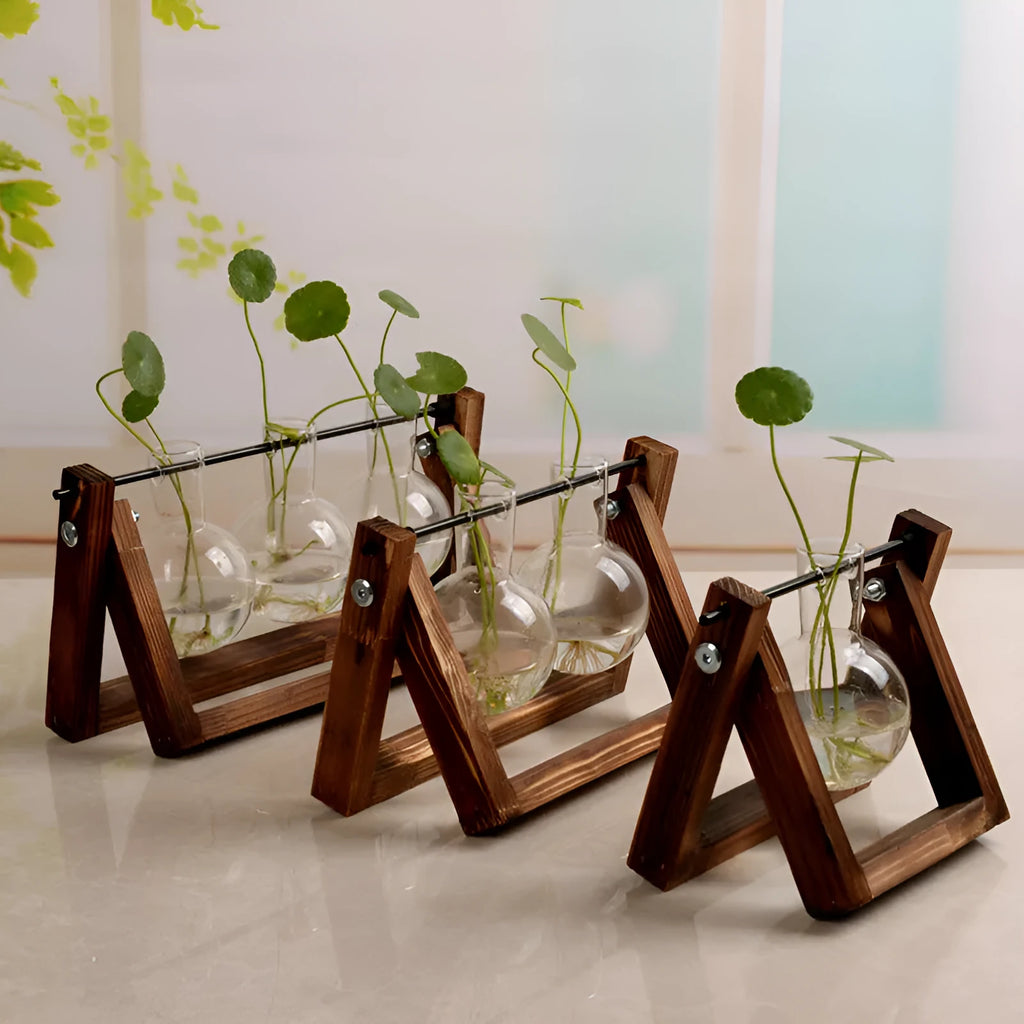 Wooden swing stand hydroponic container with borosilicate glass vase displaying plants