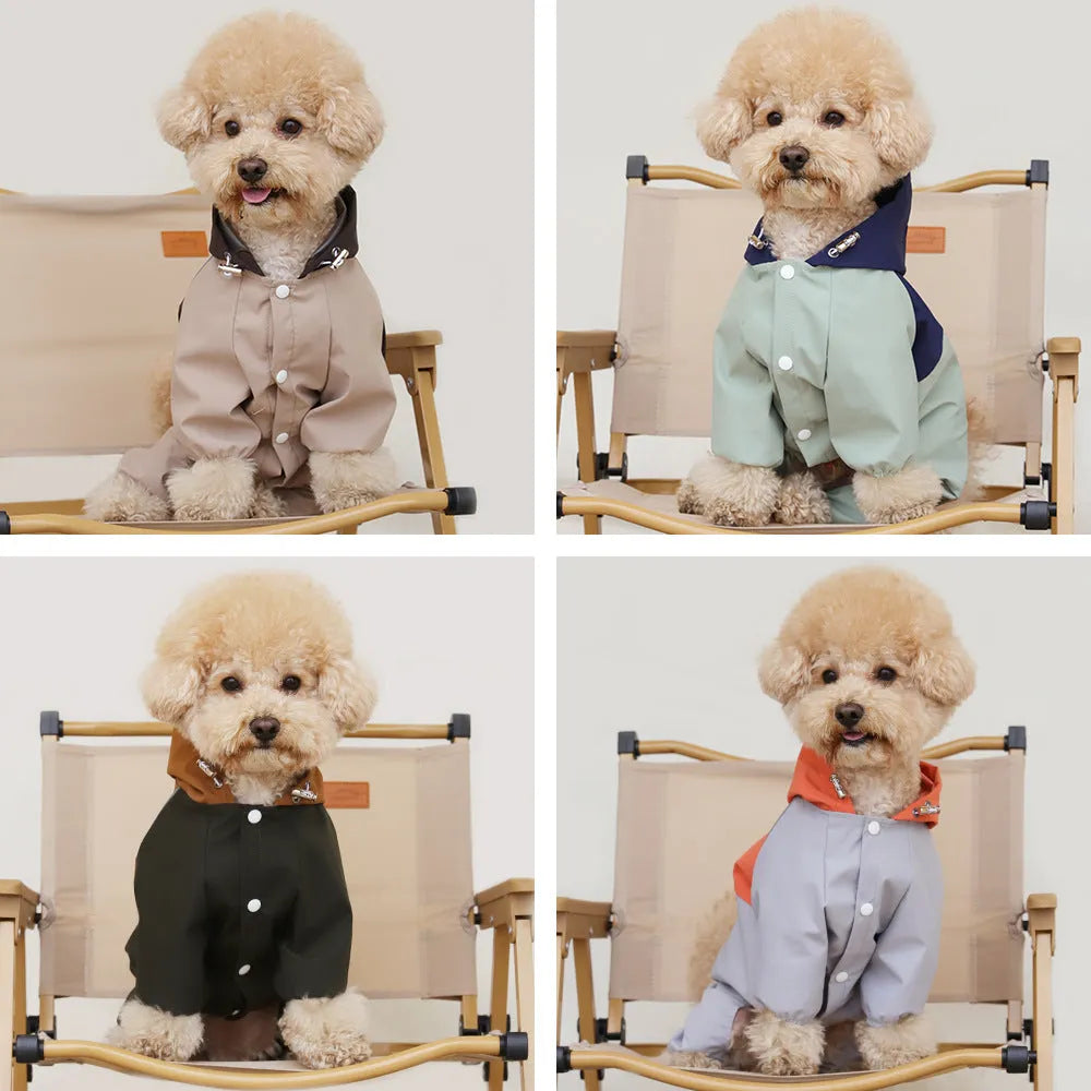 British-style khaki waterproof polyester shell jacket on a small dog.