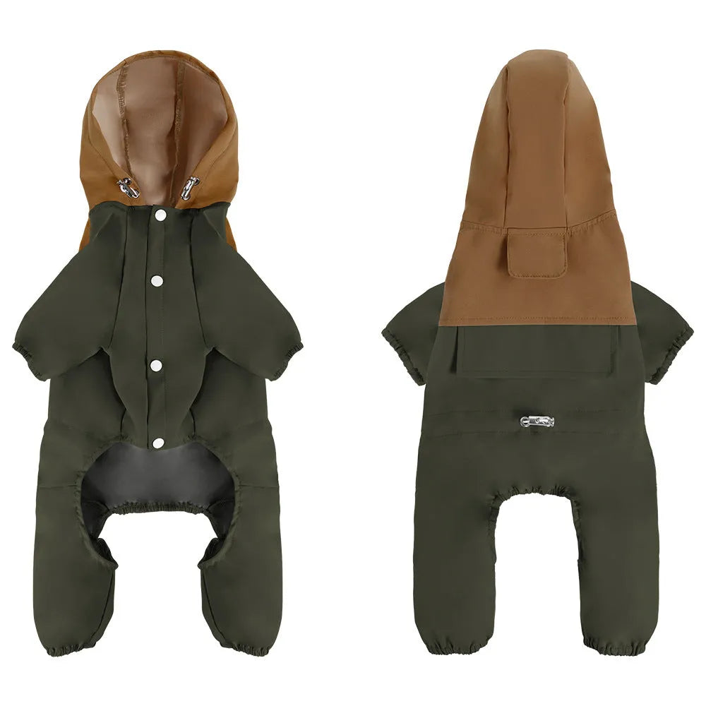 British-style khaki waterproof polyester shell jacket on a small dog.